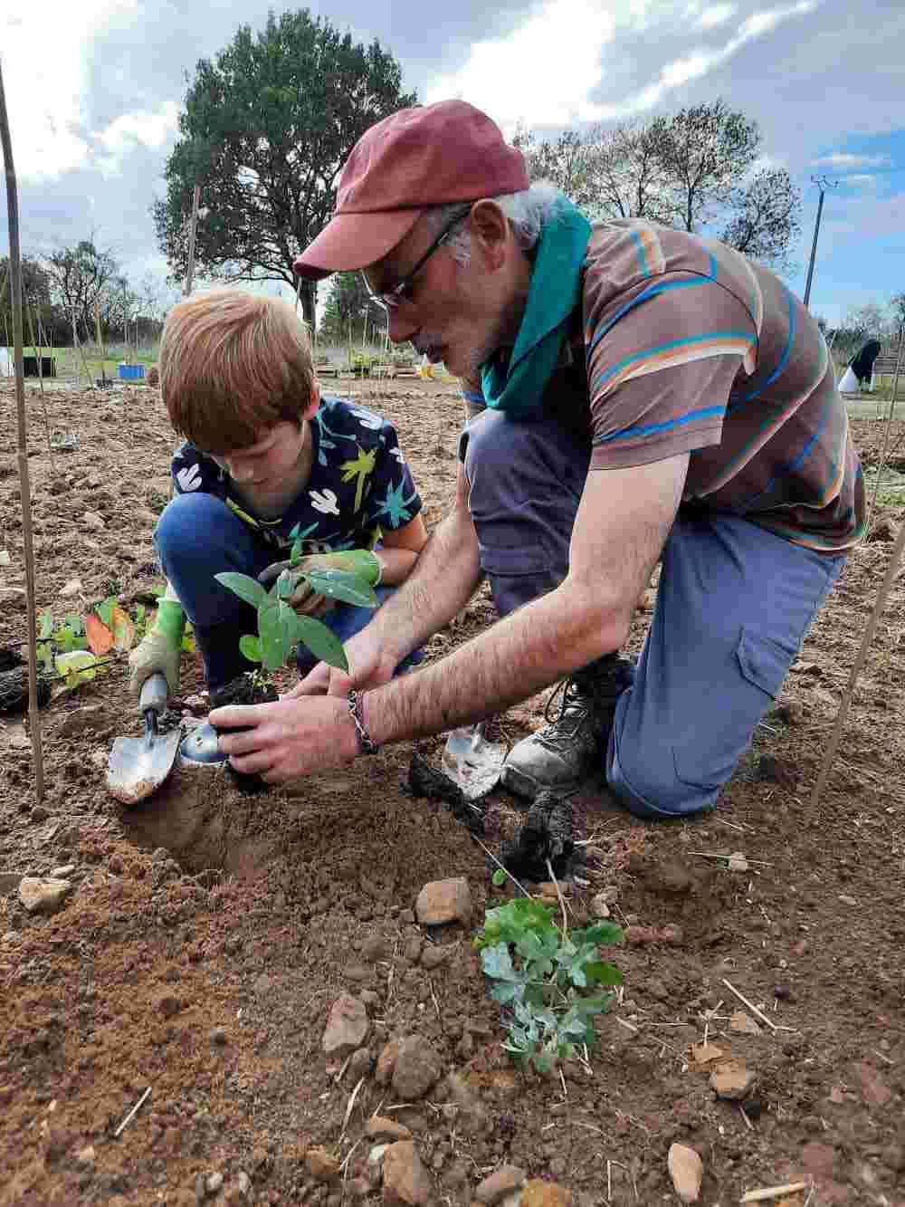 Un adulte apprend à un enfant comment planter un jeune arbre.