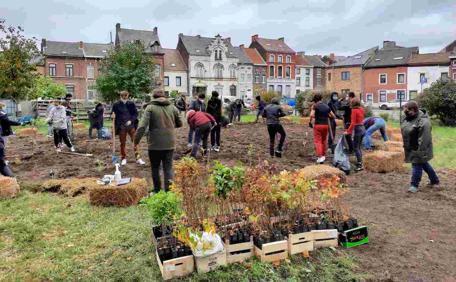 Des adolescents plantent des arbres pour créer une micro-forêt à Gilly, en Belgique.