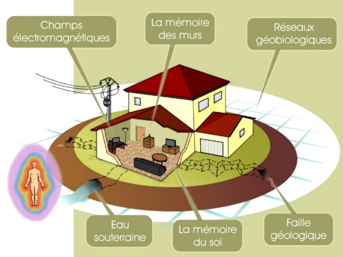 Les zones possiblement pathogènes analysées par le géobiologue