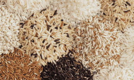 Manger du riz 3 jours d’affilée : les étapes clés pour maîtriser cette détox douce