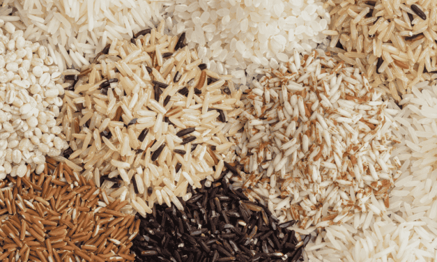 Manger du riz 3 jours d’affilée : les étapes clés pour maîtriser cette détox douce
