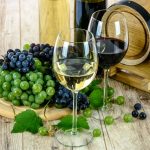 Vin bio de Bordeaux : une possibilité écoresponsable et savoureuse