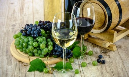 Vin bio de Bordeaux : une possibilité écoresponsable et savoureuse