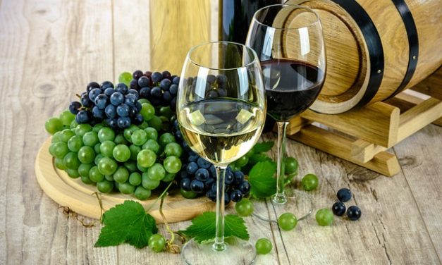 Vin bio de Bordeaux : une possibilité écoresponsable et savoureuse