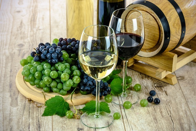 Vin bio de Bordeaux : une possibilité écoresponsable et savoureuse