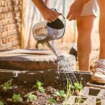 Cultiver le bonheur dans les jardins partagés parisiens