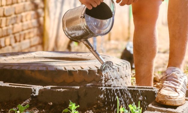 Cultiver le bonheur dans les jardins partagés parisiens