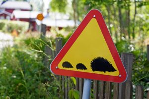 a l'entree des communes un panneau de signalisation pour traversée de hérissons