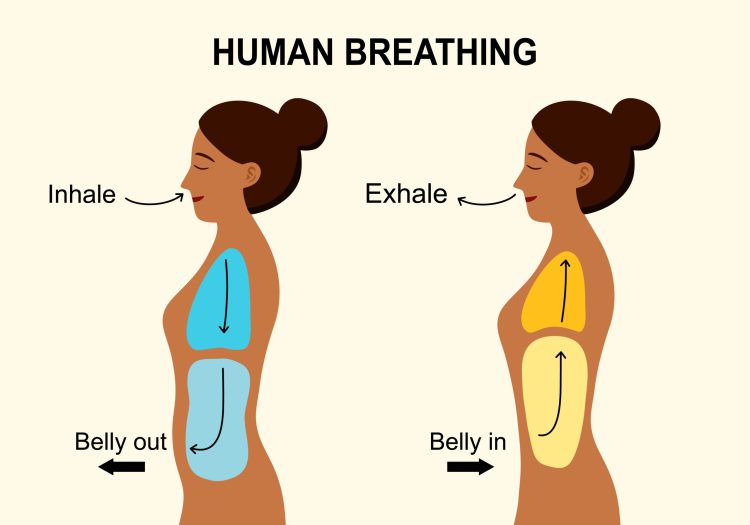 Technique de la respiration diaphragmatique